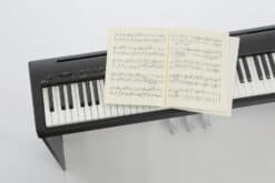 Kawai ES-110 mit Erweiterungen