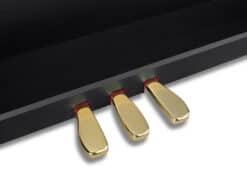 Casio GP-310 Schwarz Pedale