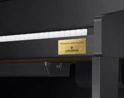 Casio GP-310 Schwarz Rechts