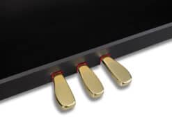 Casio GP-510 Schwarz pedale