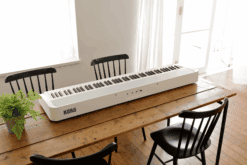 Das Korg B2 Weiss