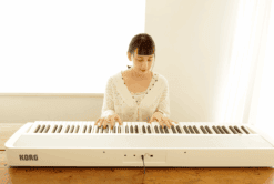 Das Korg B2 WH beim Spielen