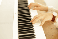 Das Korg B2 WH beim Spielen