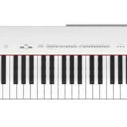 YAMAHA P-225 - Bedienfeld