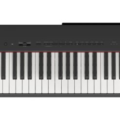 YAMAHA P-225 - Bedienfeld