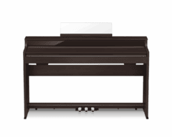 CASIO AP-S450 in Palisander (Rosewood) Front