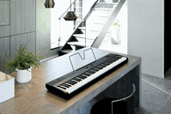 Korg Liano E-Piano Schwarz Funktionen
