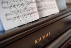 Kawai CA701 Name