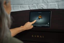 Kawai CA701