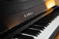 Kawai CA901 Schwarz Name