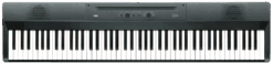 Korg Liano E-Piano Schwarz Top