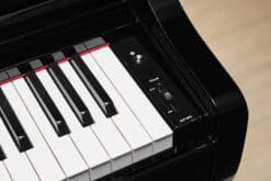 Yamaha CLP-875 Schwarz Volume