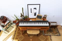 Roland FP-30