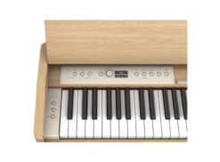 Roland F701 (holz) - Bedienfeld