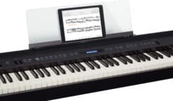 Roland FP-60 Schwarz Ipad