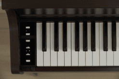Casio AP 300W Schwarz E piano Tastatur Links
