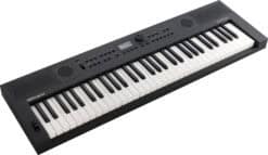 ROLAND GO:KEYS 5 Schwarz Diagonal
