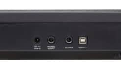 Roland GOPIANO Rueckansicht Ansicht