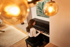 Roland LX-5 Overview beim Spielen