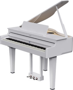 ROLAND GP-6 PW