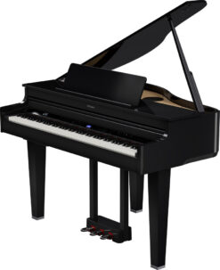 ROLAND GP-6 PE