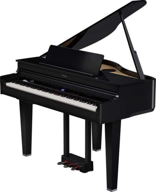 ROLAND GP-6 PE