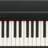 ROLAND GO:PIANO88 PX