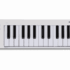 Arturia MicroLab mk3 WH