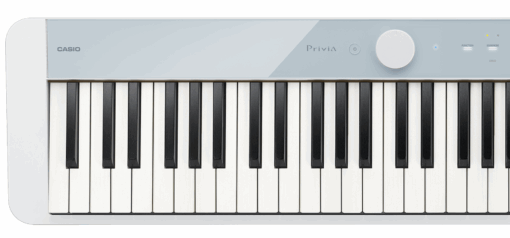CASIO PX-S1100 CB