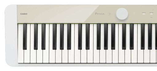 CASIO PX-S1100 MB