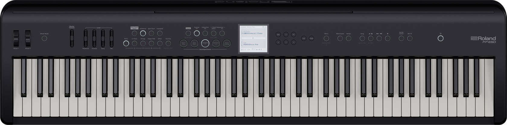 ROLAND FP-E50