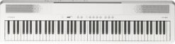 Roland FP-40 WH